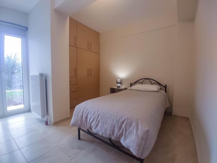 Cozy Modern Apartment Ioannina Exterior photo
